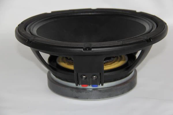 12 Inch 450W RMS Pro Audio Loudspeakers Subwoofer