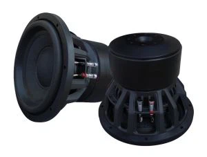 Subwoofer 12 pouces avec aimant énorme